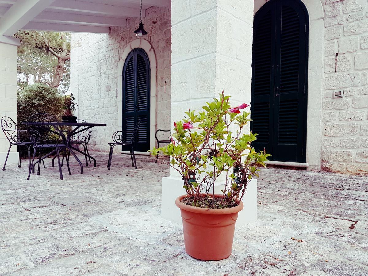 Villa Cenzina เซลวา ดิ ฟาซาโน ภายนอก รูปภาพ