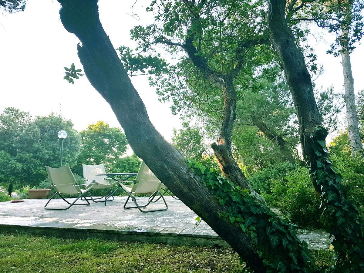 Villa Cenzina เซลวา ดิ ฟาซาโน ภายนอก รูปภาพ