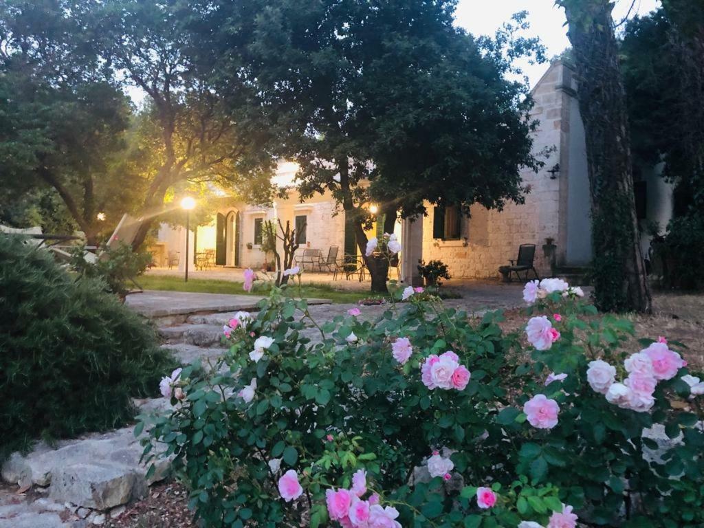 Villa Cenzina เซลวา ดิ ฟาซาโน ภายนอก รูปภาพ